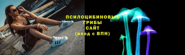 а пвп мука Заводоуковск