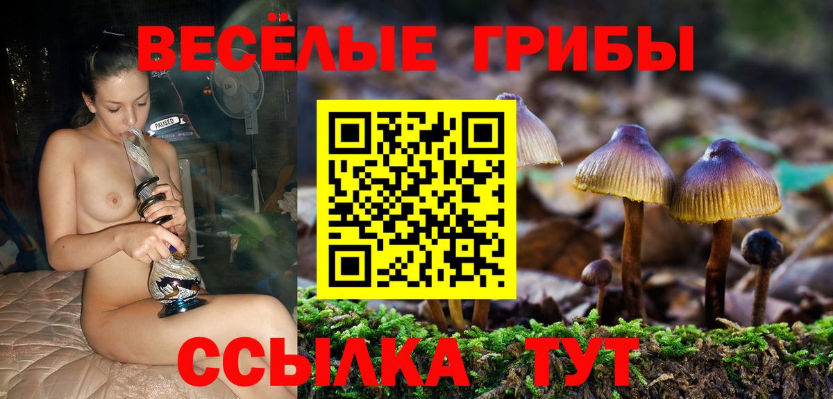 Псилоцибиновые грибы мицелий Избербаш