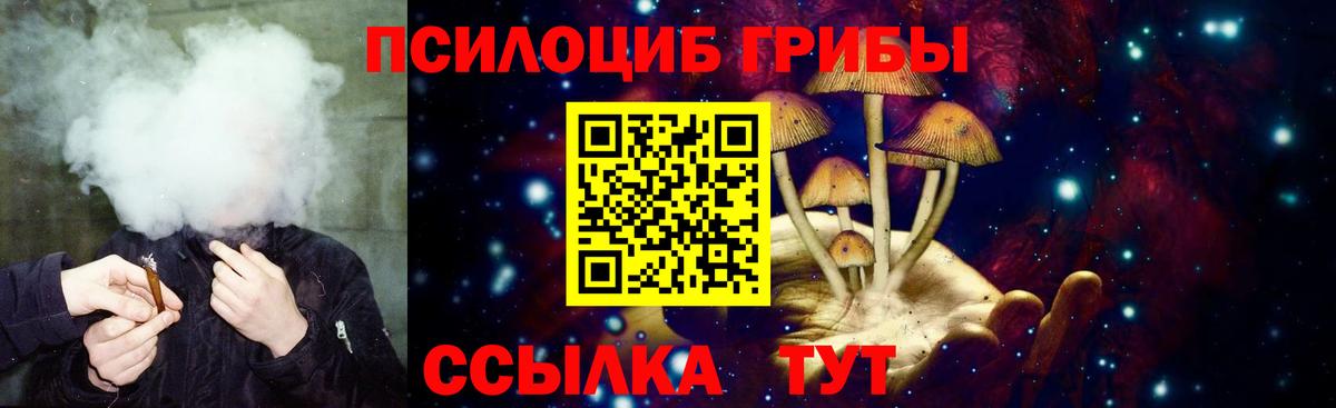 Галлюциногенные грибы Psilocybe  Вход с VPN  дарнет шоп  Избербаш 