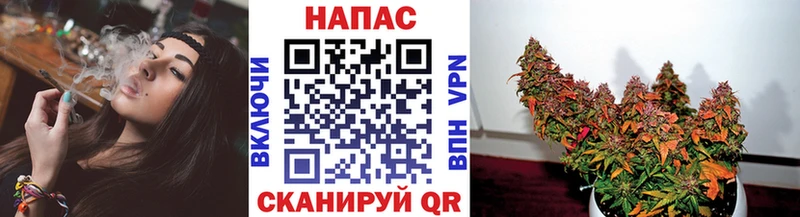 Марихуана SATIVA & INDICA  что такое наркотик  Избербаш 
